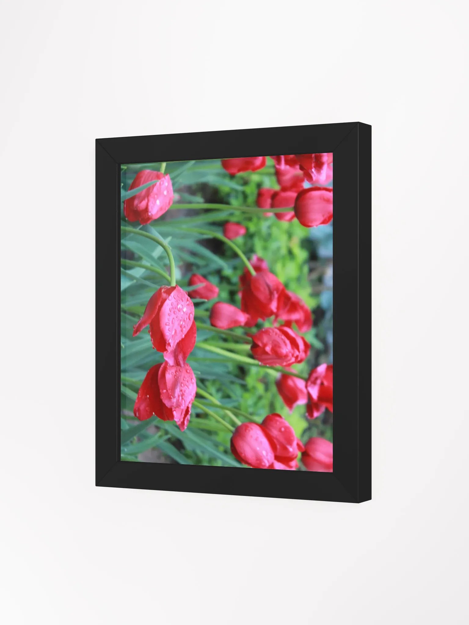 Tulips product image (5)