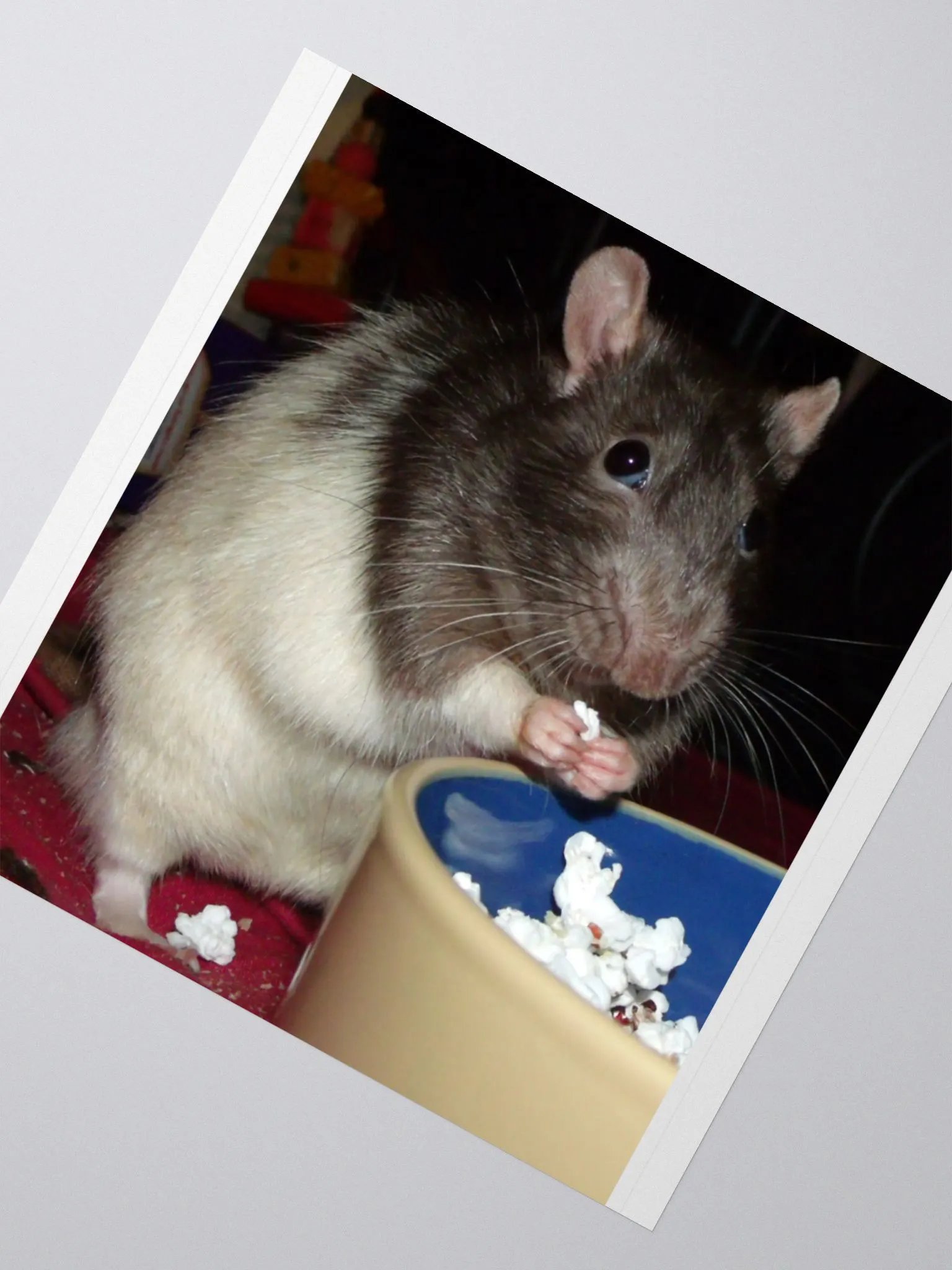 popcorn rat sticker product image (5)