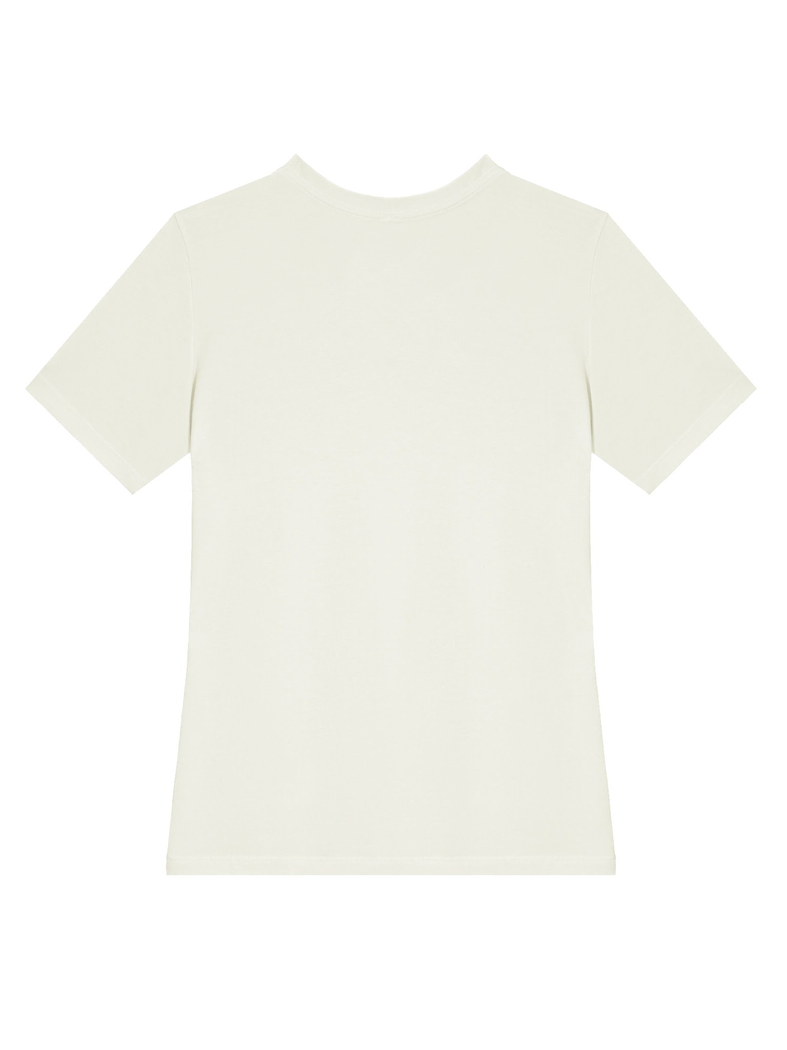 Off to Praise the Lord Goose Tee product image (29)