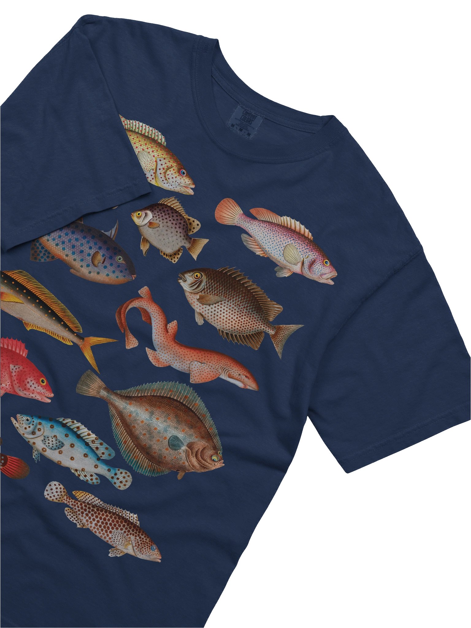 Vintage Fish Illustration Shirt – Ichthyology Graphic Tee, Dark Academia Style product image (12)