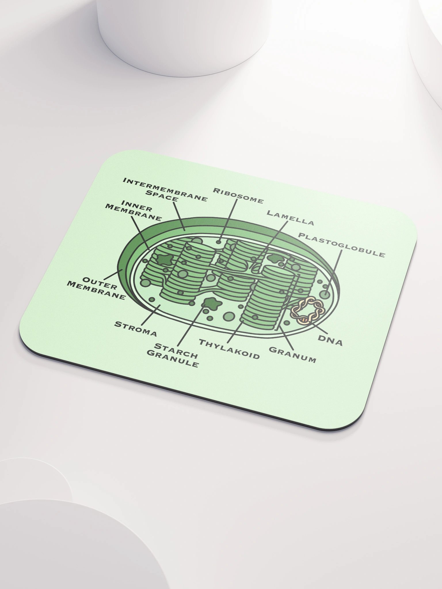 Chloroplast Diagram Mousepad product image (3)
