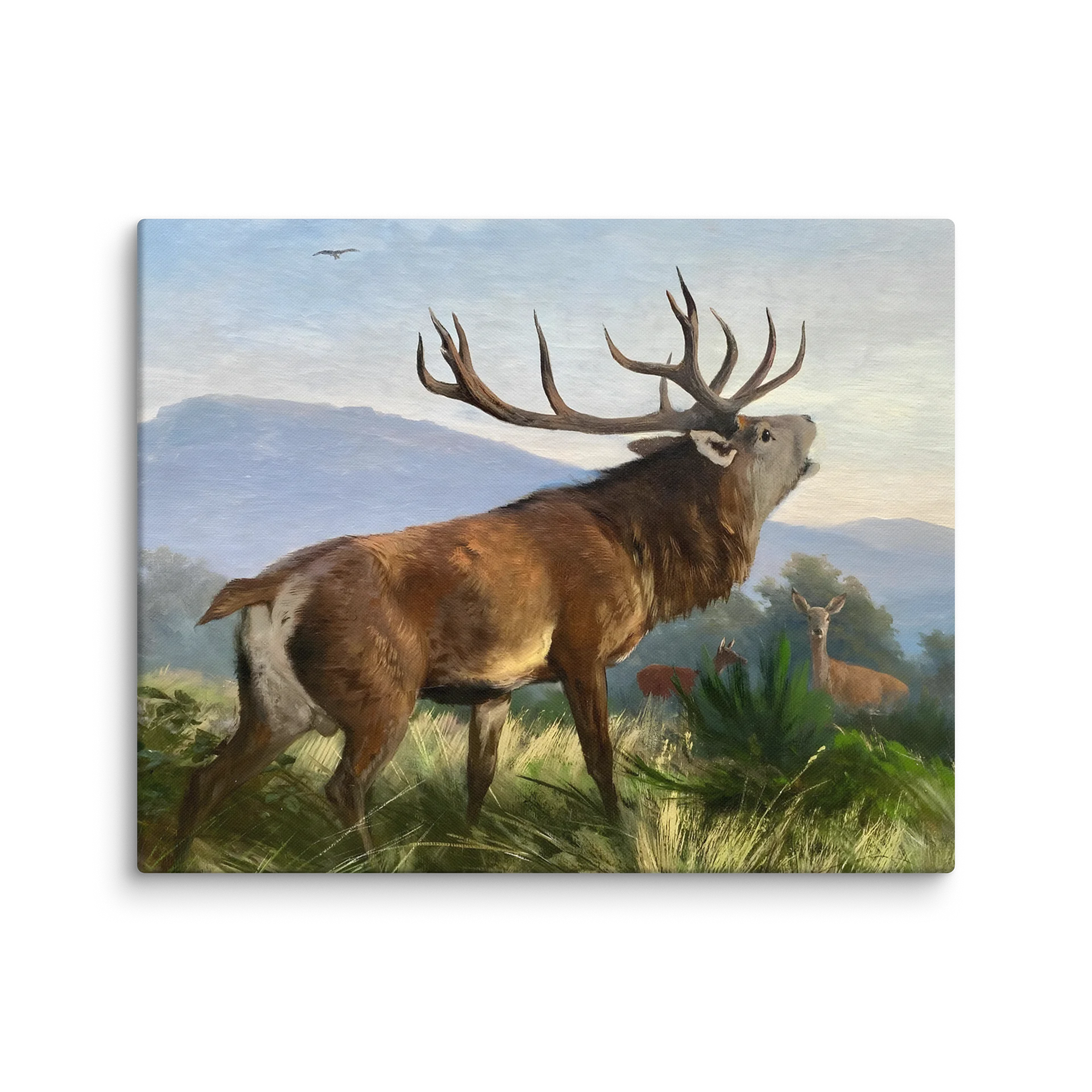 Antique Bellowing Red Deer Stag Canvas Print product image (10)