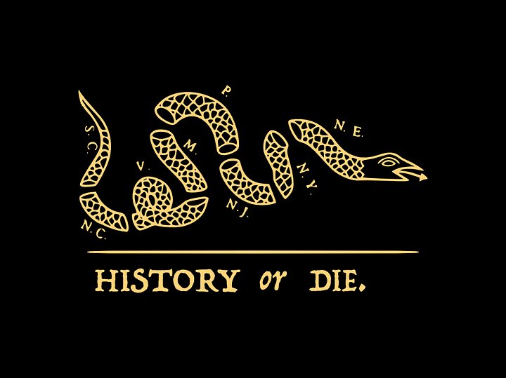 History or Die Picnic Blanket product image (1)