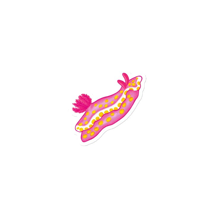 Sea Slugs: Set 1, Ceratosoma Amoenum - Magnet product image (1)