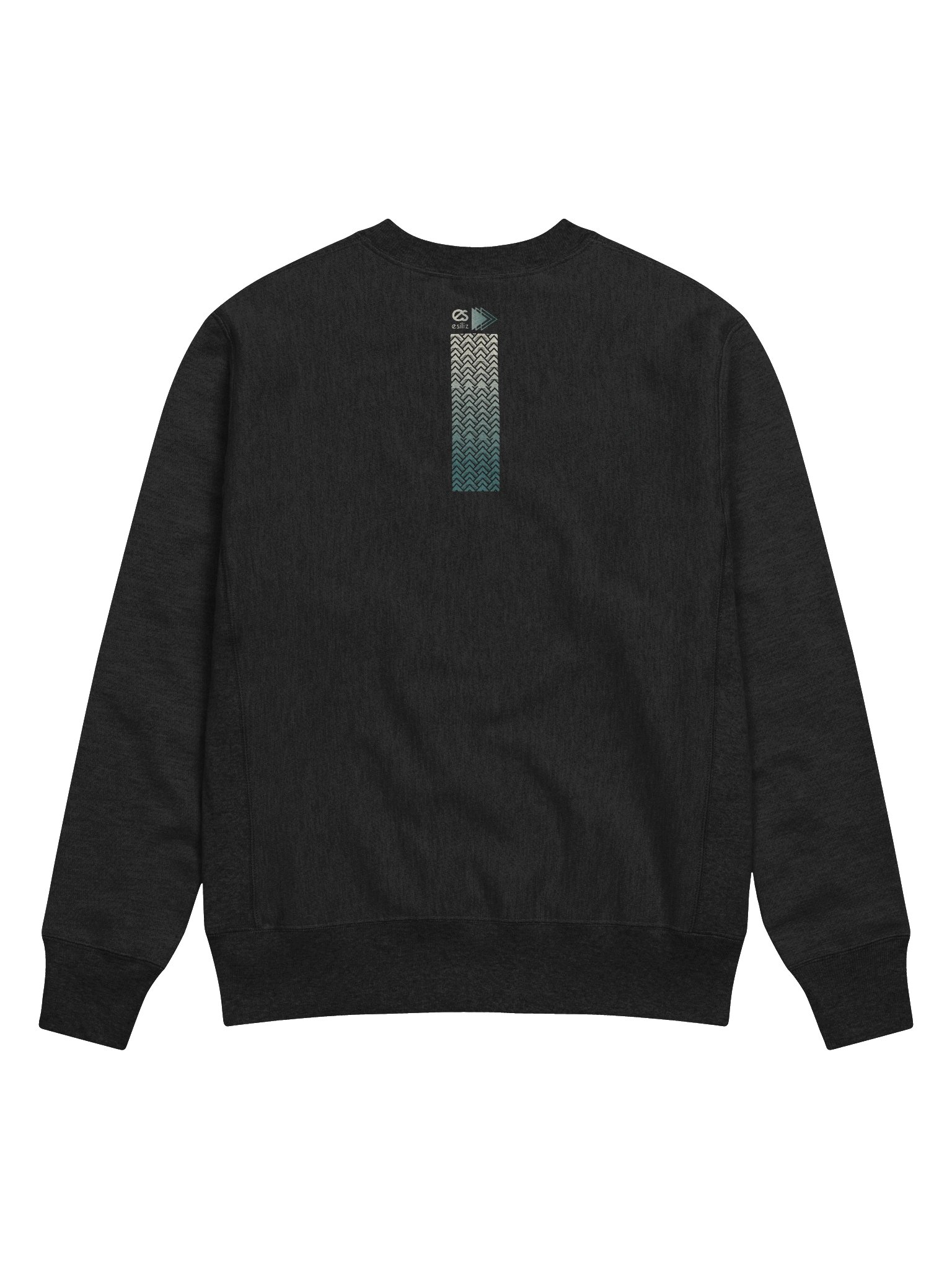 esiliz 50 & 100 tVE Gradient Sweatshirt product image (5)