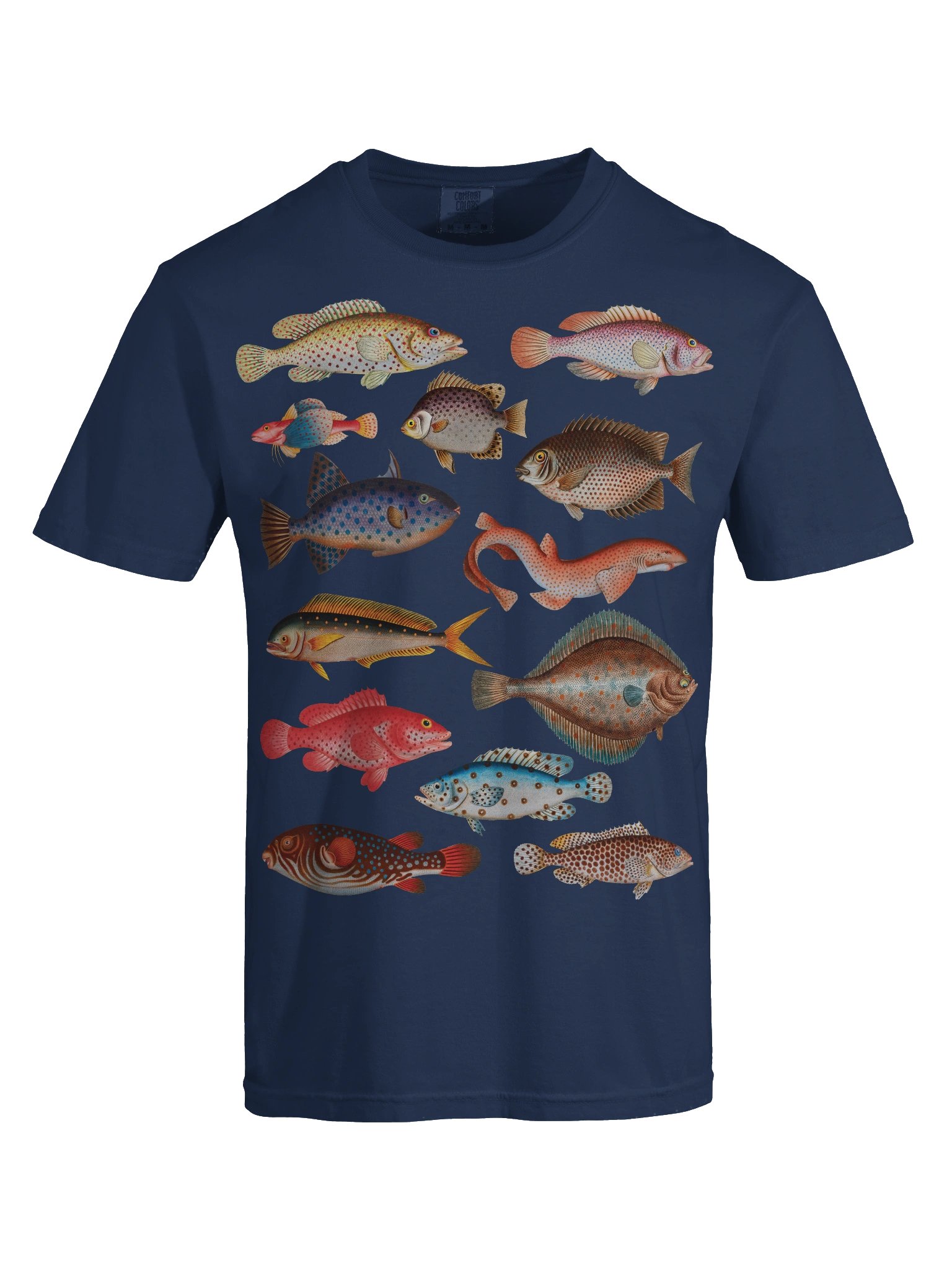 Vintage Fish Illustration Shirt – Ichthyology Graphic Tee, Dark Academia Style product image (16)