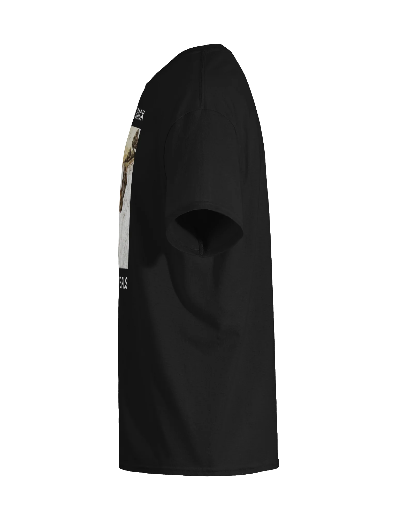 PLATO LET ME BACK INTO THE CAVE PLS product image (97)