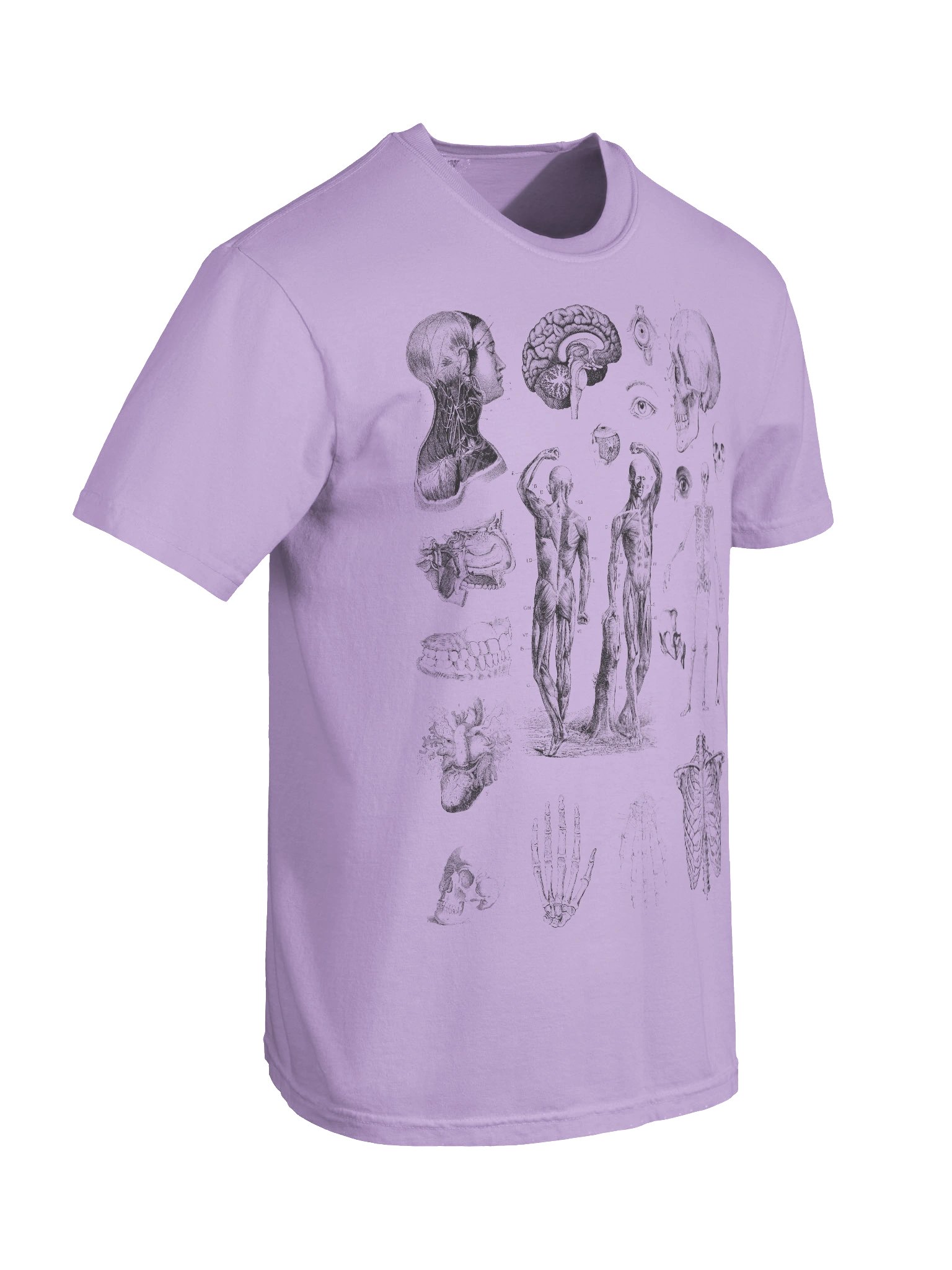 Dark Academia Anatomy Shirt – Vintage Human Anatomy Sketch Graphic Tee product image (37)