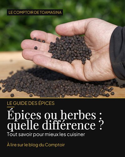 Herbe ou épice ? On les confond tout le temps 🌿🌶️

La différence est pourtant simple : les herbes, ce sont les feuilles d'une...