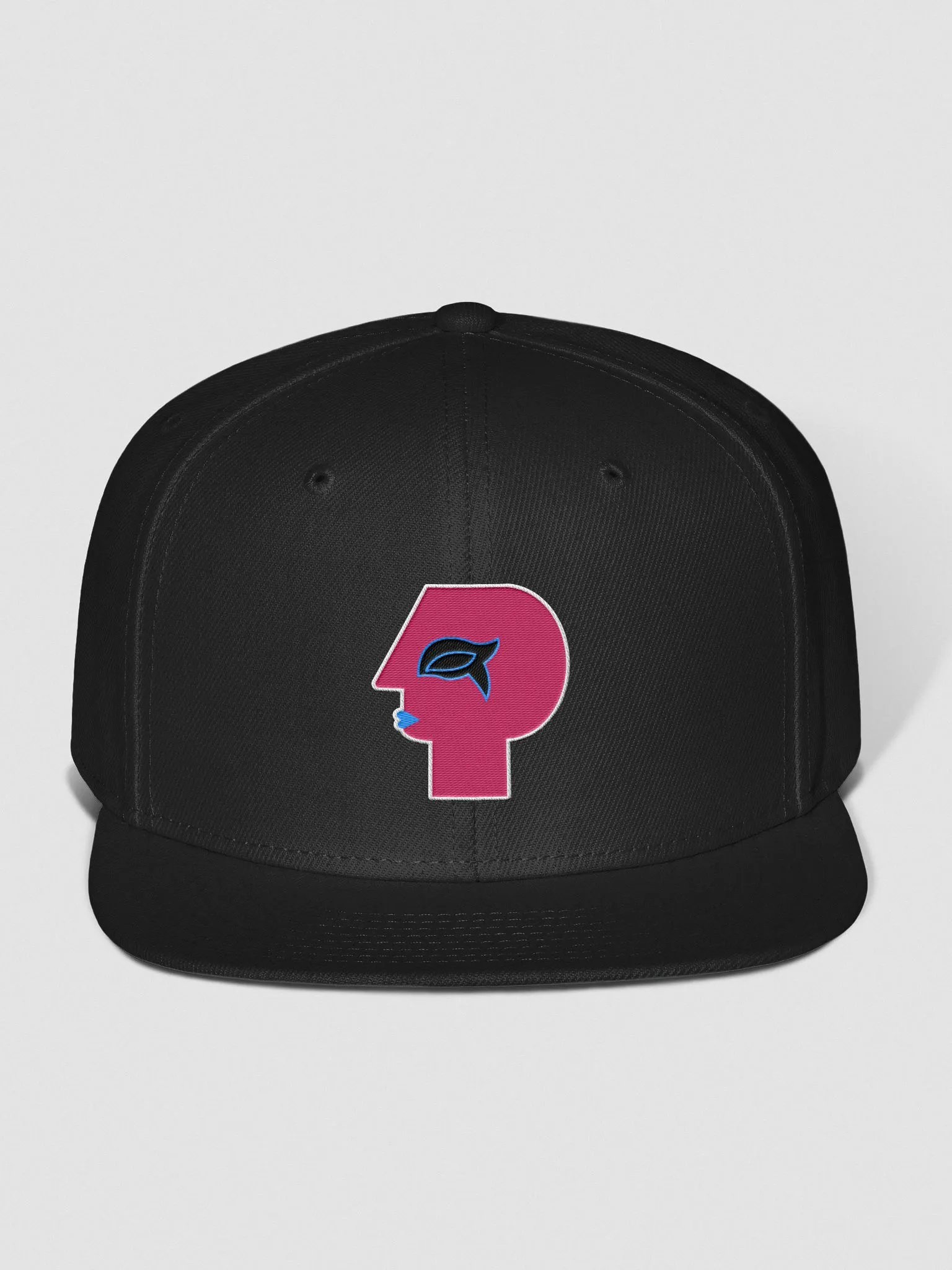 PiB-BS Baseball Hat product image (1)
