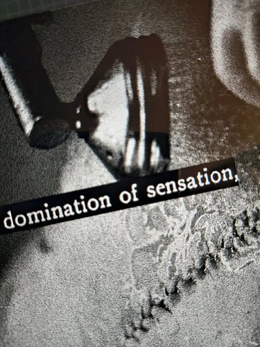 moments in love/domination of sensation (detail)
