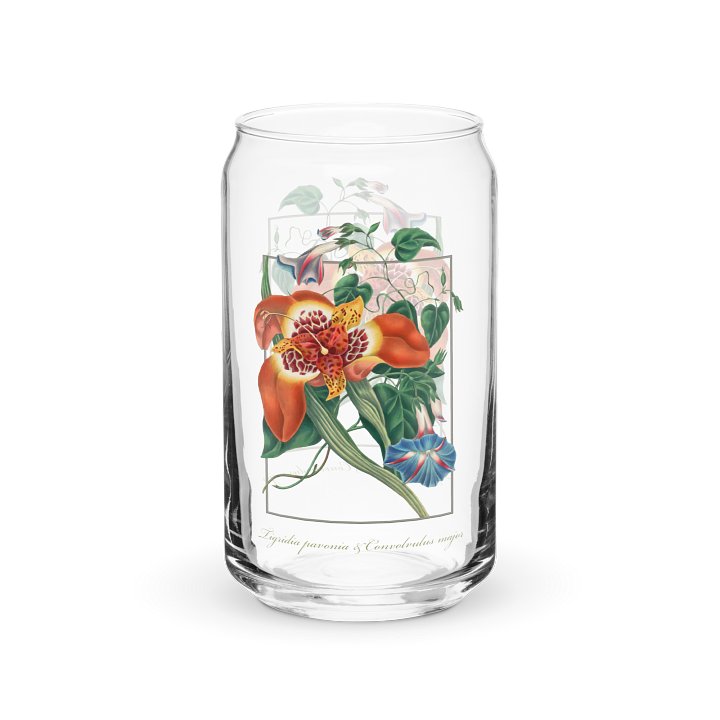 Mexican Tiger-flower, (Tigridia pavonia), and blue Convolvulus major Glass product image (1)
