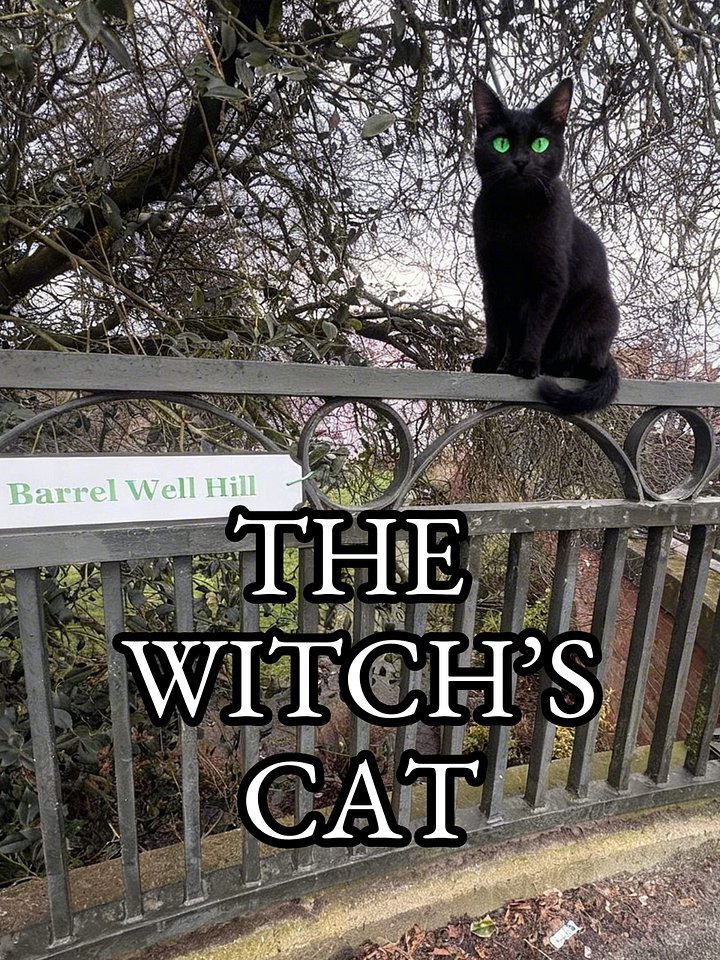 The Witch's Cat - MP3 Download product image (1)