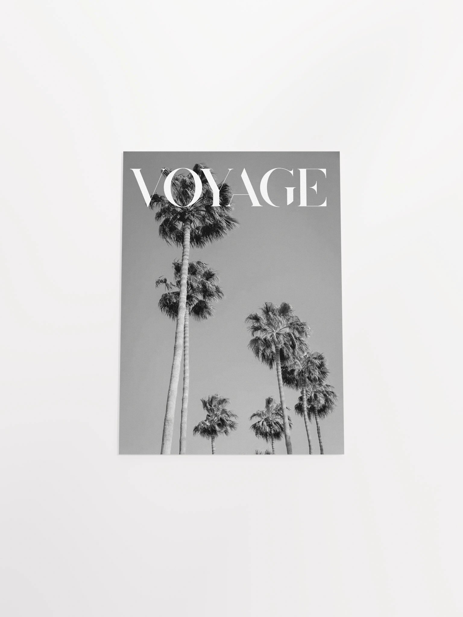 Palm Trees VOYAGE product image (7)