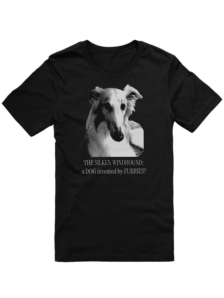 Controversial Origins - T-Shirt product image (1)