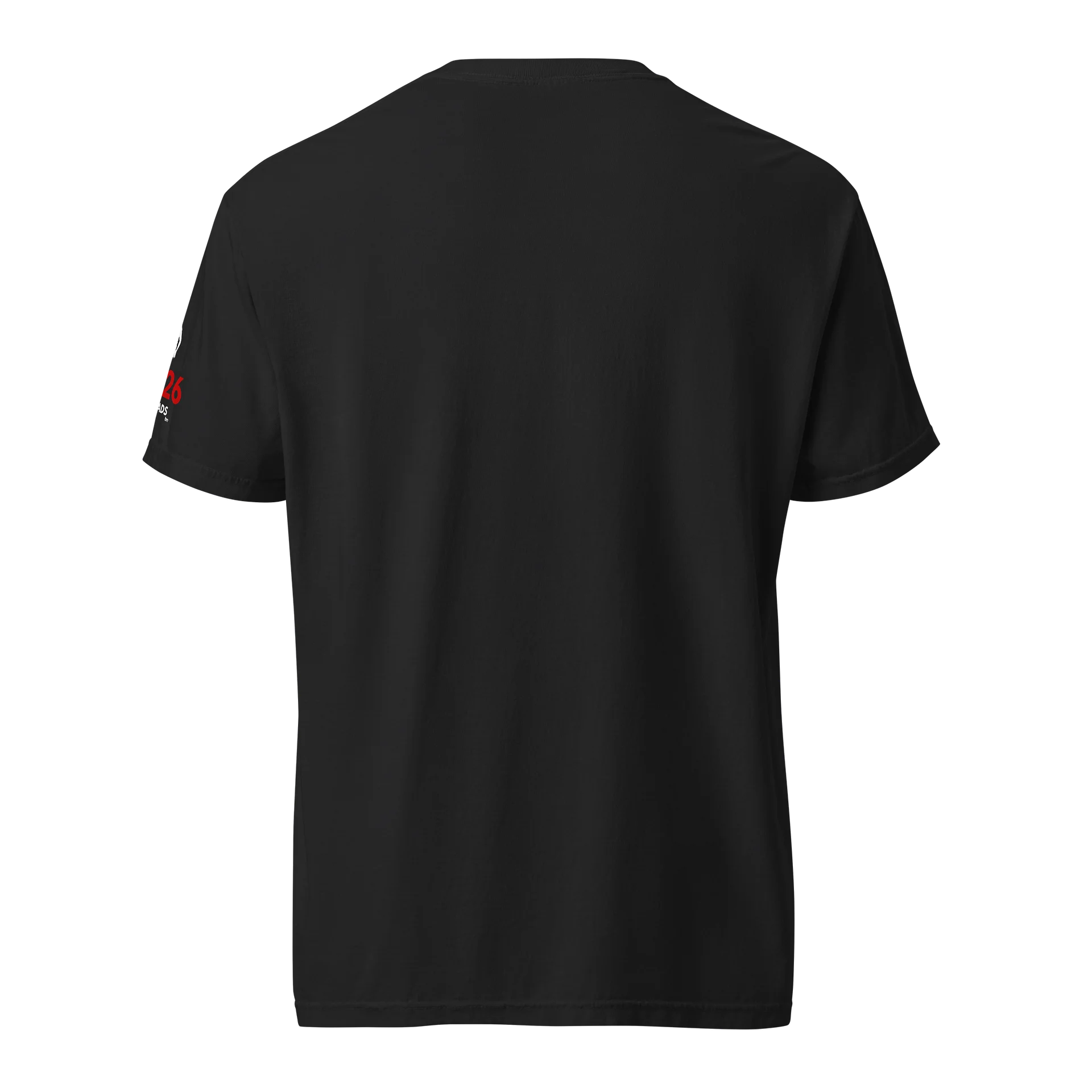 NYC BALLHEADS CHAMPIONSHIP T product image (4)
