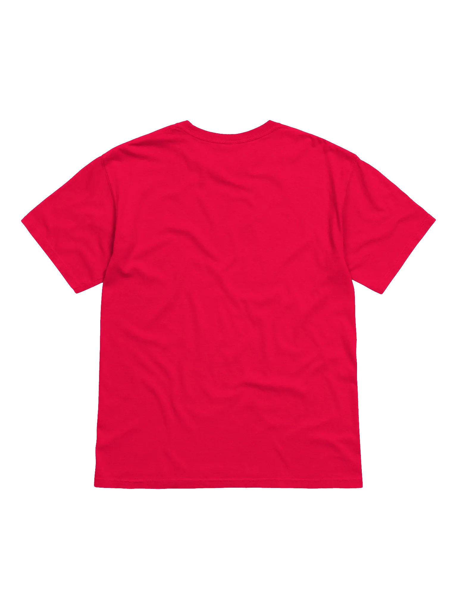 Tandepaga Tee product image (6)