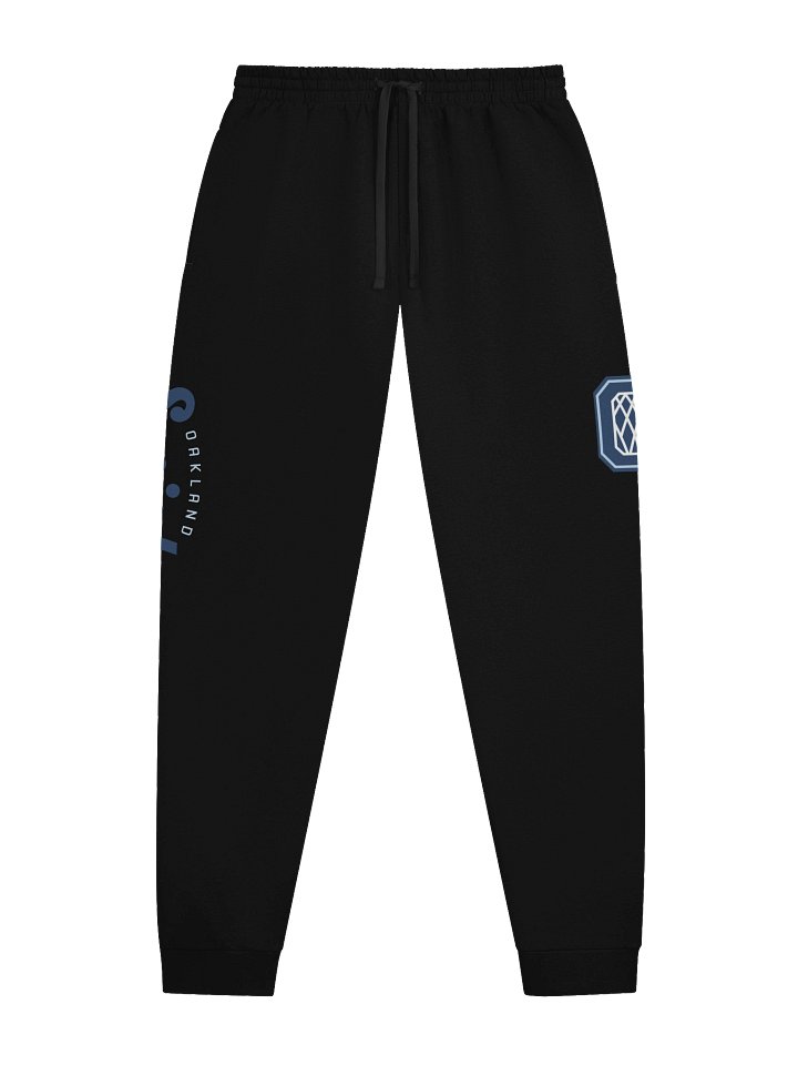 Swish Joggers product image (1)
