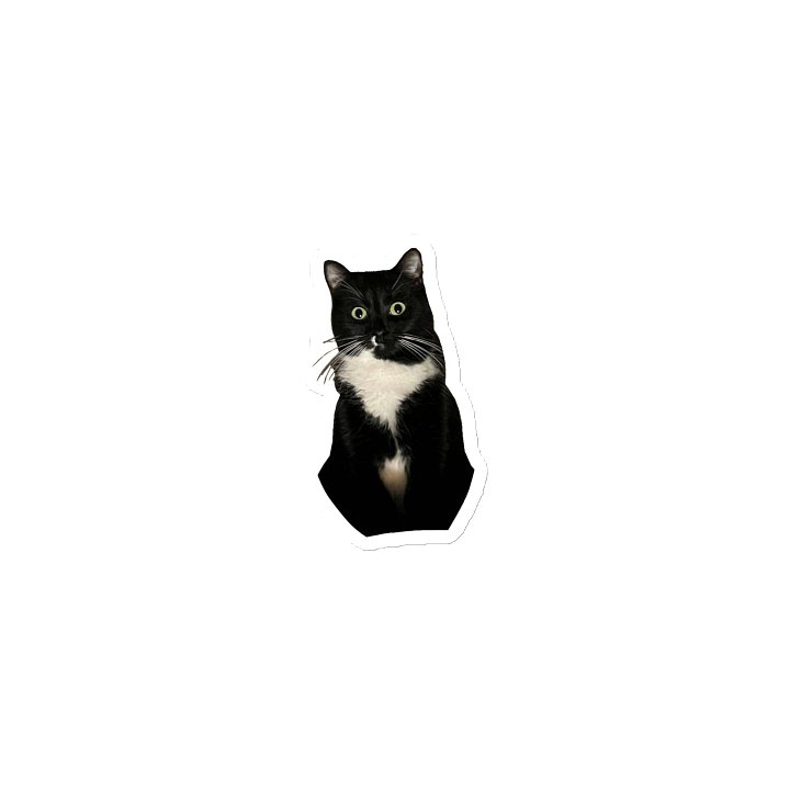 Fridge mittens!!! product image (1)