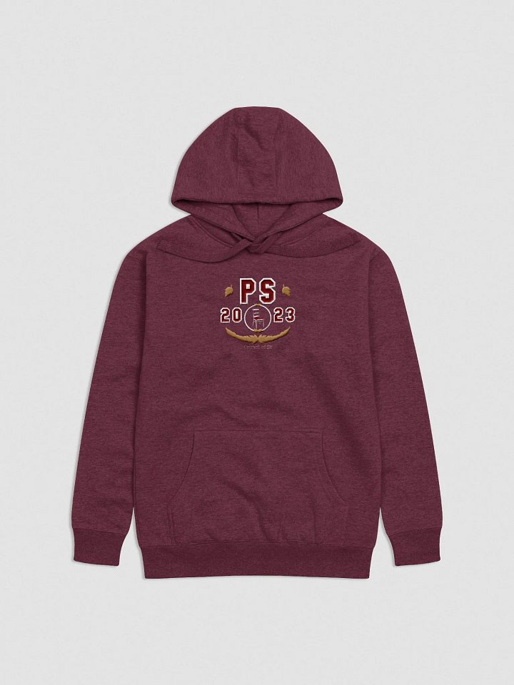 Embroidered Council Hoodie product image (7)