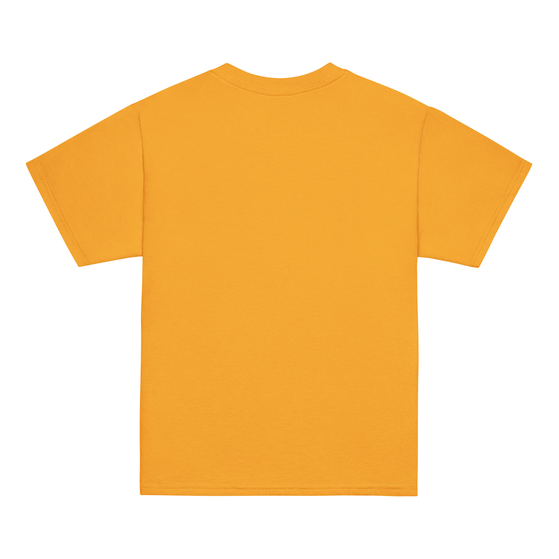 Future Van Lifer Kids Tee (Apollo Approved) product image (9)
