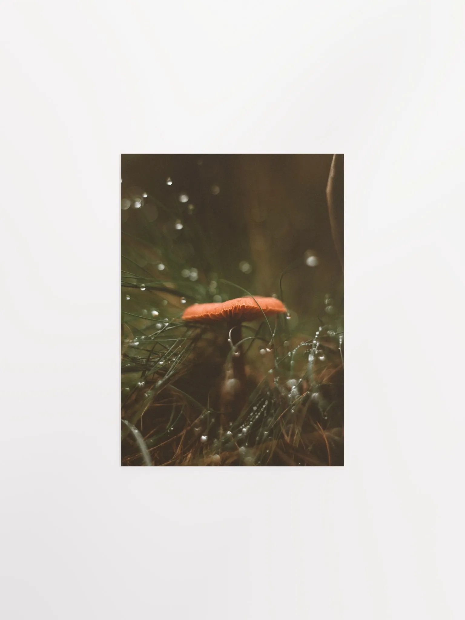 Vintage Mushroom product image (4)