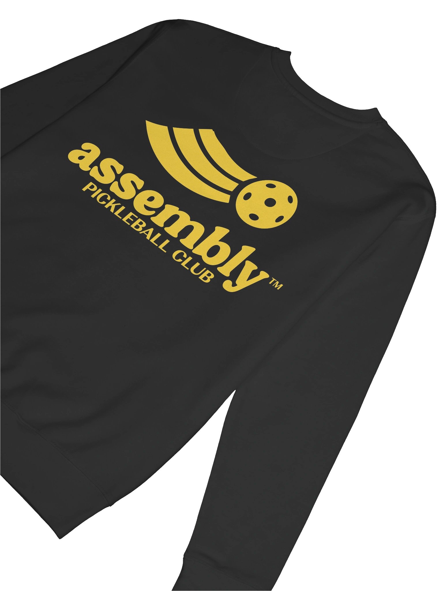 Protest Sweatshirt product image (8)