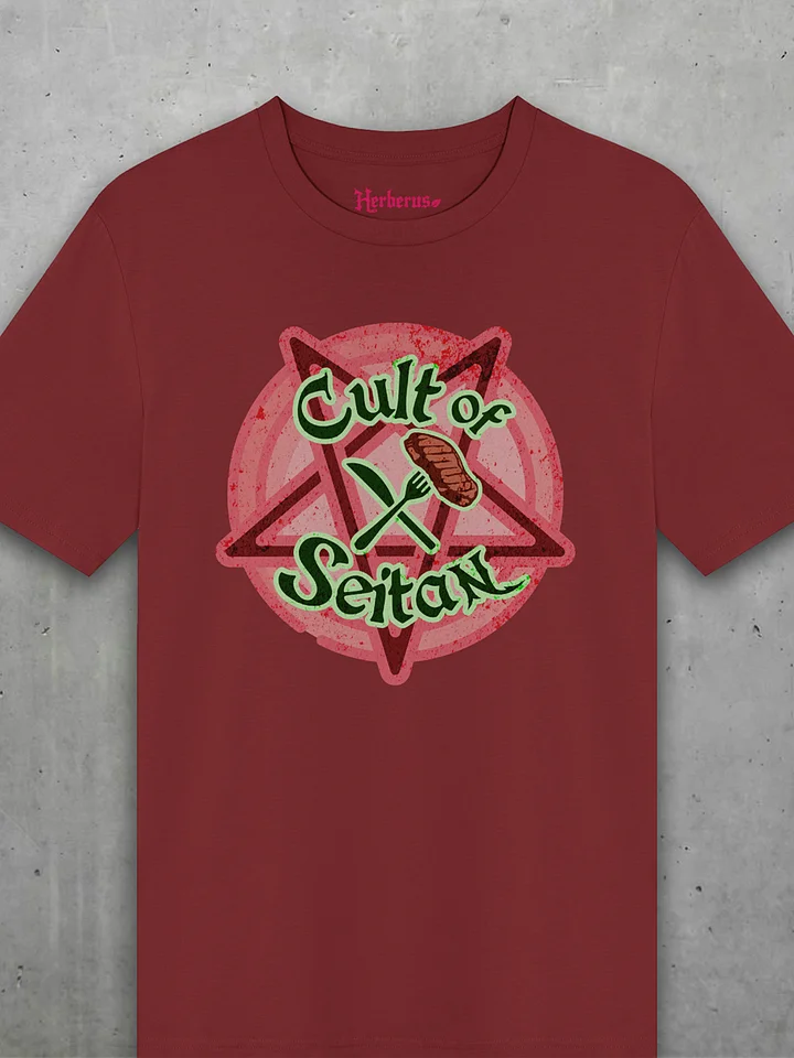 Cult Of Seitan Star Tee product image (5)