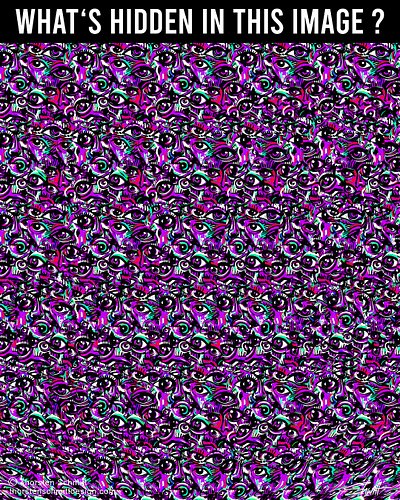 What could it be ? Can you see the animal ?