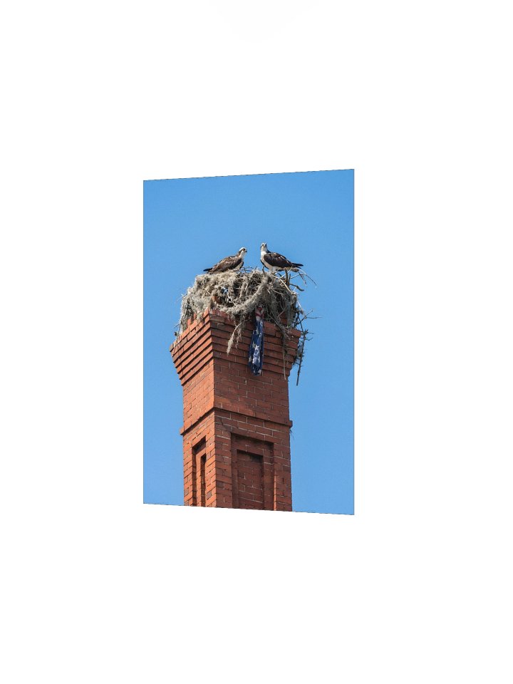 The Osprey's Chimney product image (18)
