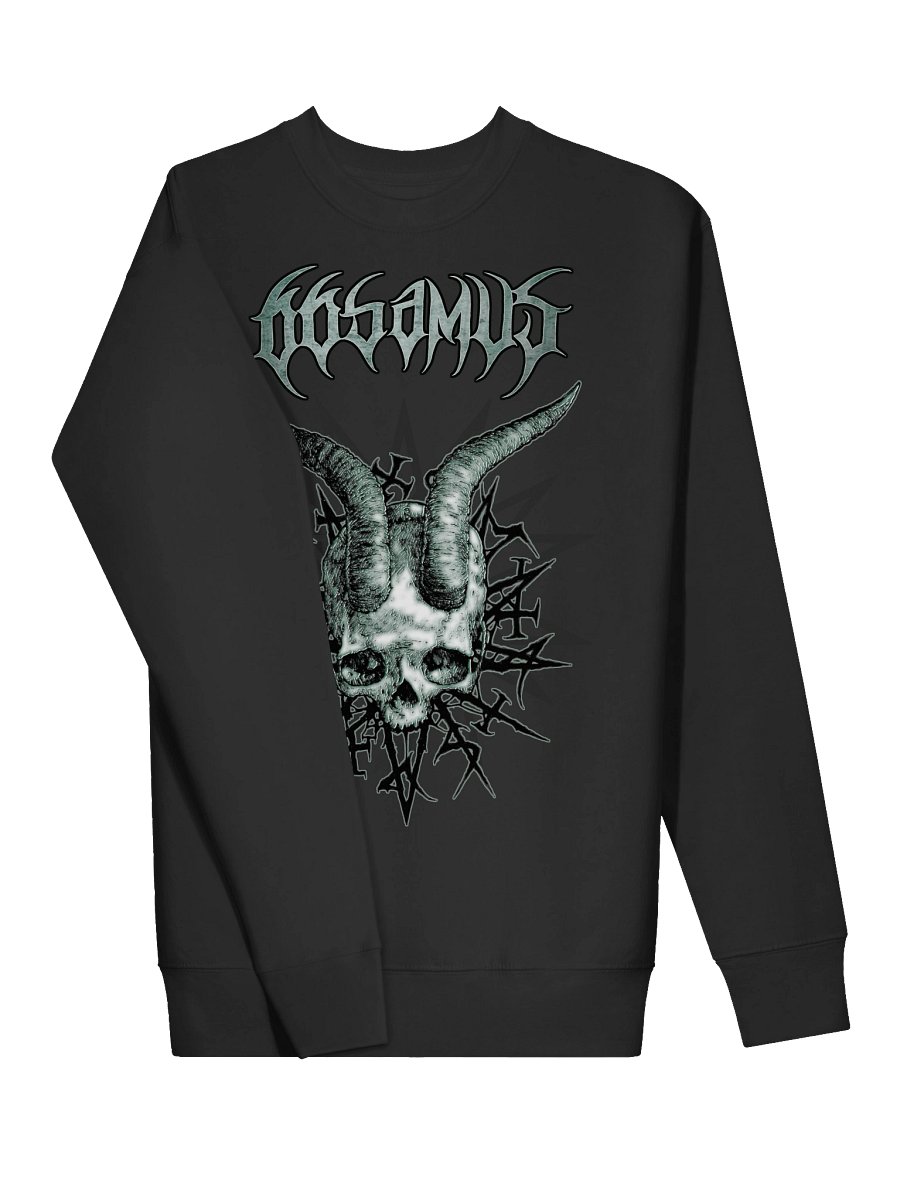 Chimaglyphics sweatshirt product image (3)