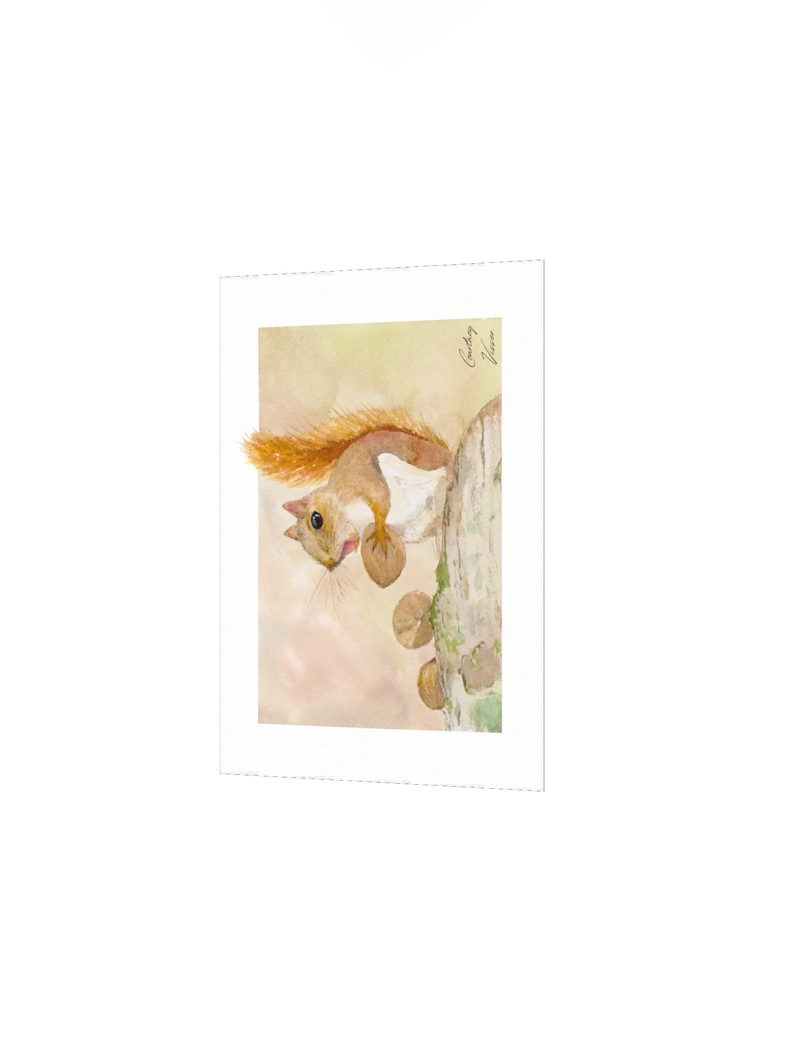 Squirrel print product image (3)