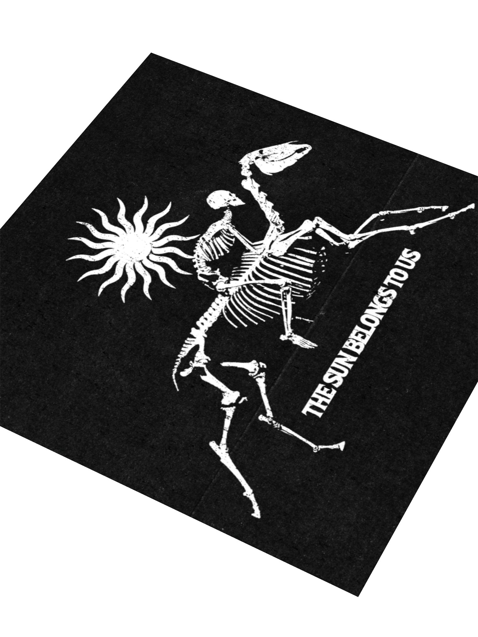 THE SUN BELONGS TO US LOGO STICKER product image (9)