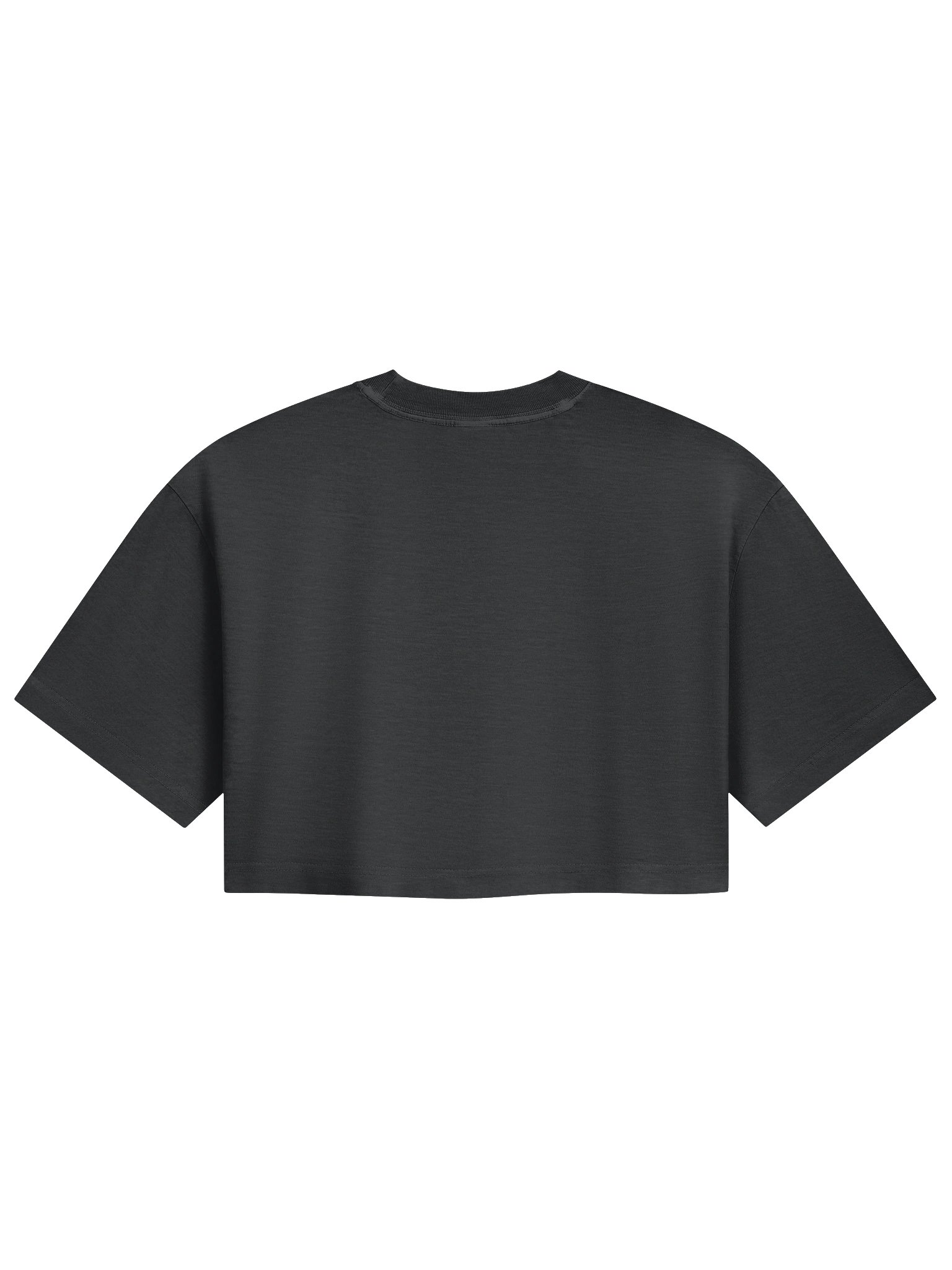 Glitch Vision Women's Garment Dye Cropped Tee product image (2)