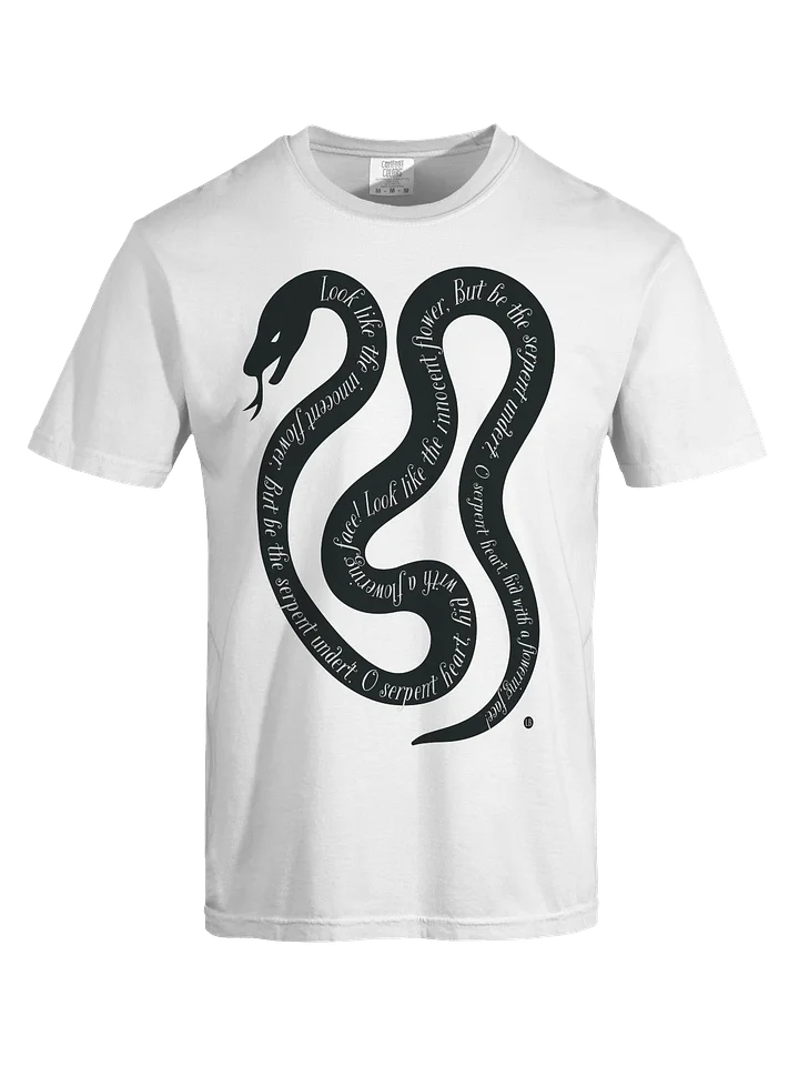 Serpent's Verse Heavyweight Tee product image (1)