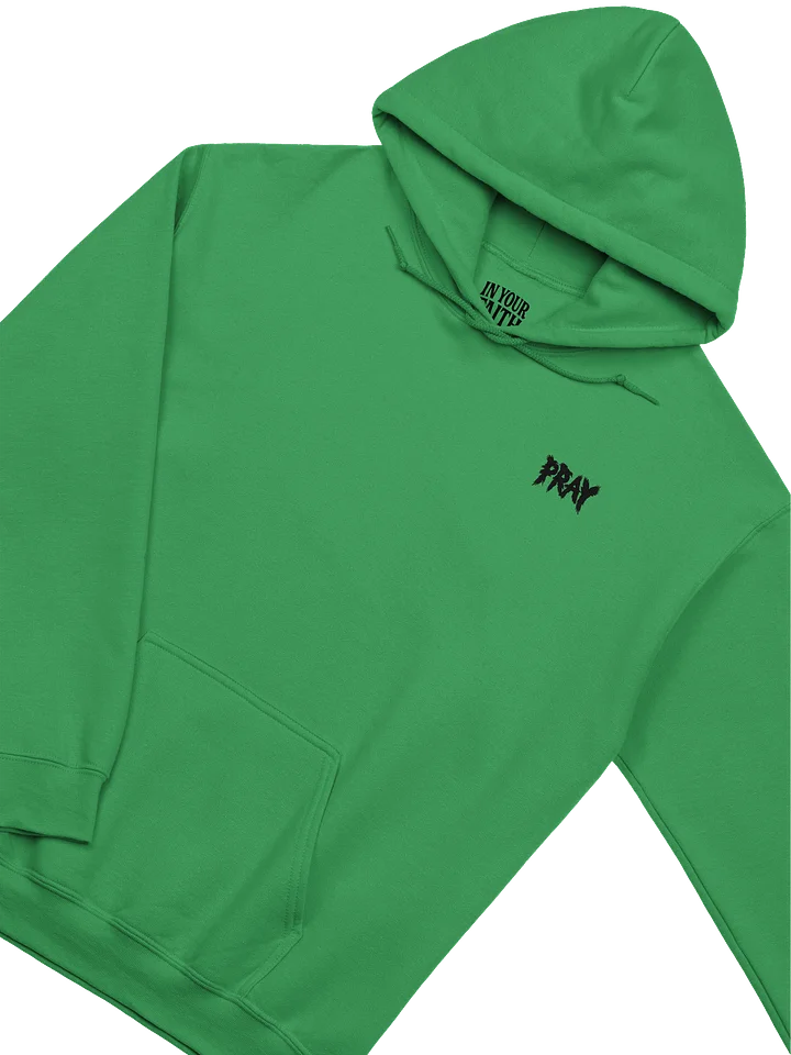 Birds Of Pray Hoodie product image (2)