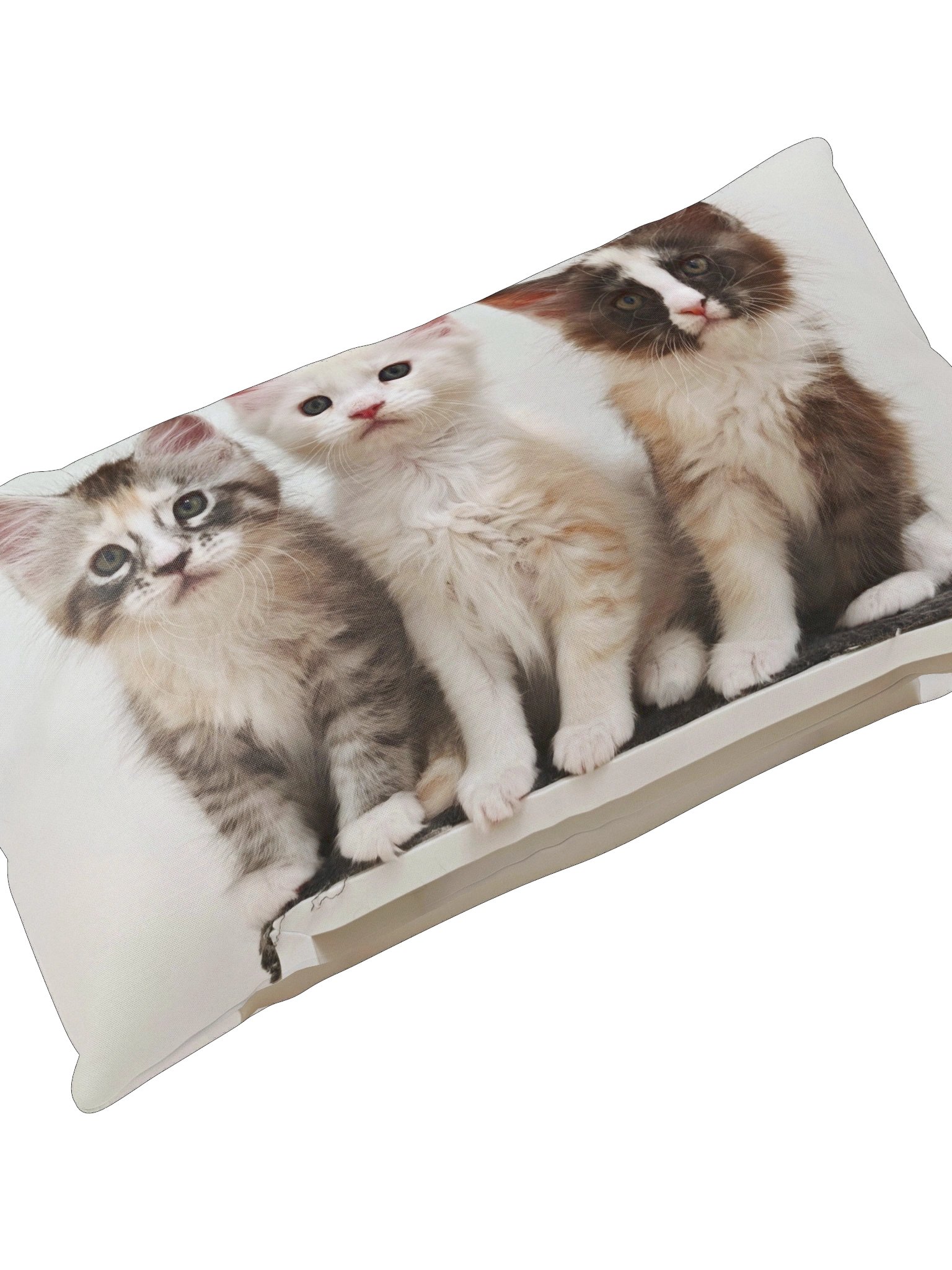 Ada's Kittens - Pillow product image (4)