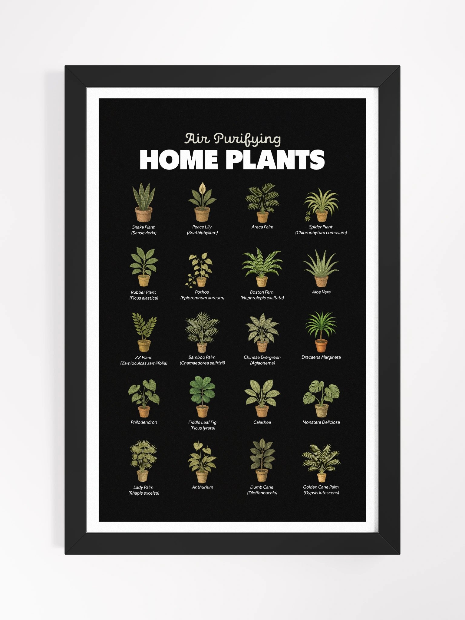 Air Purifying Home Plants Framed Art Print product image (2)