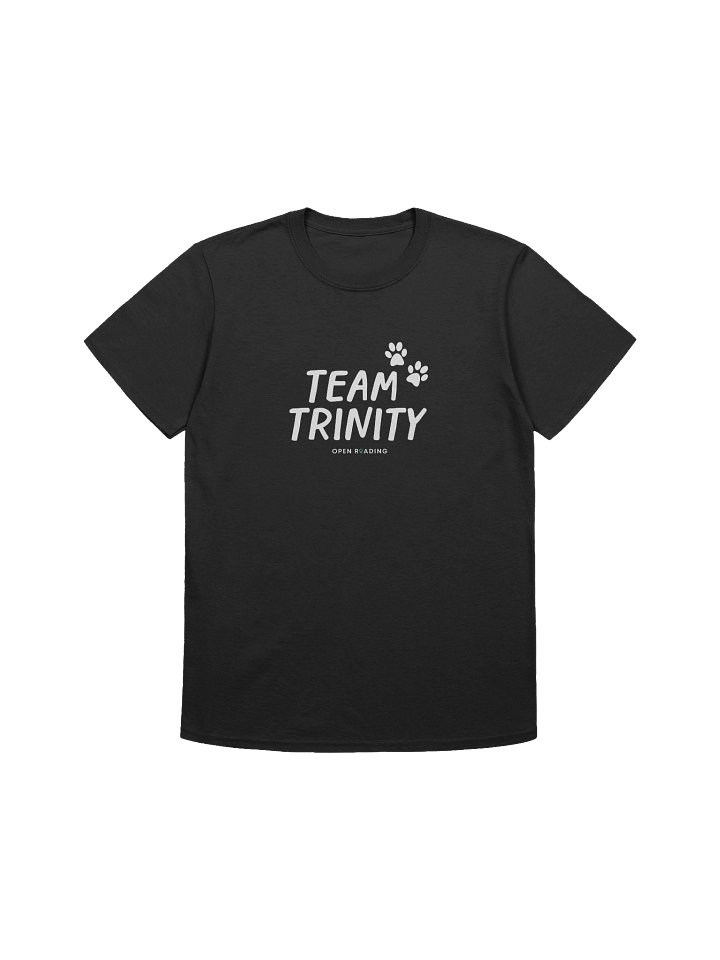 Team Trinity Adult-Sized Tee product image (1)