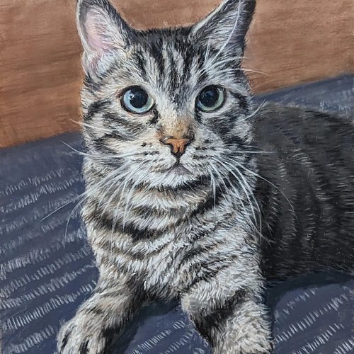portrait of Tobias #pet #pastelpainting #pastelmat #catlover #petpainting #pastel #パステル画 #painting #art