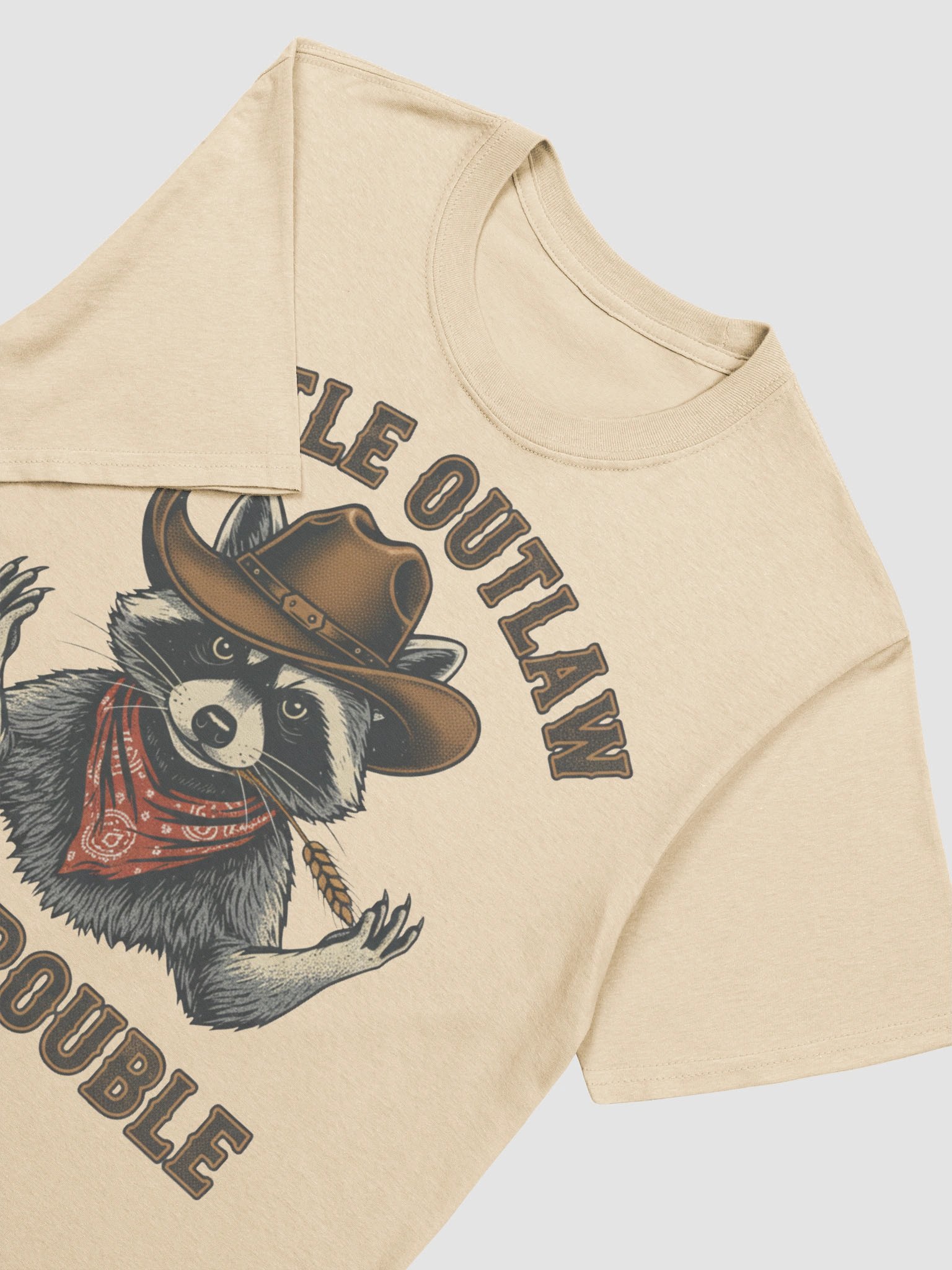 Little Outlaw, Big Trouble product image (3)