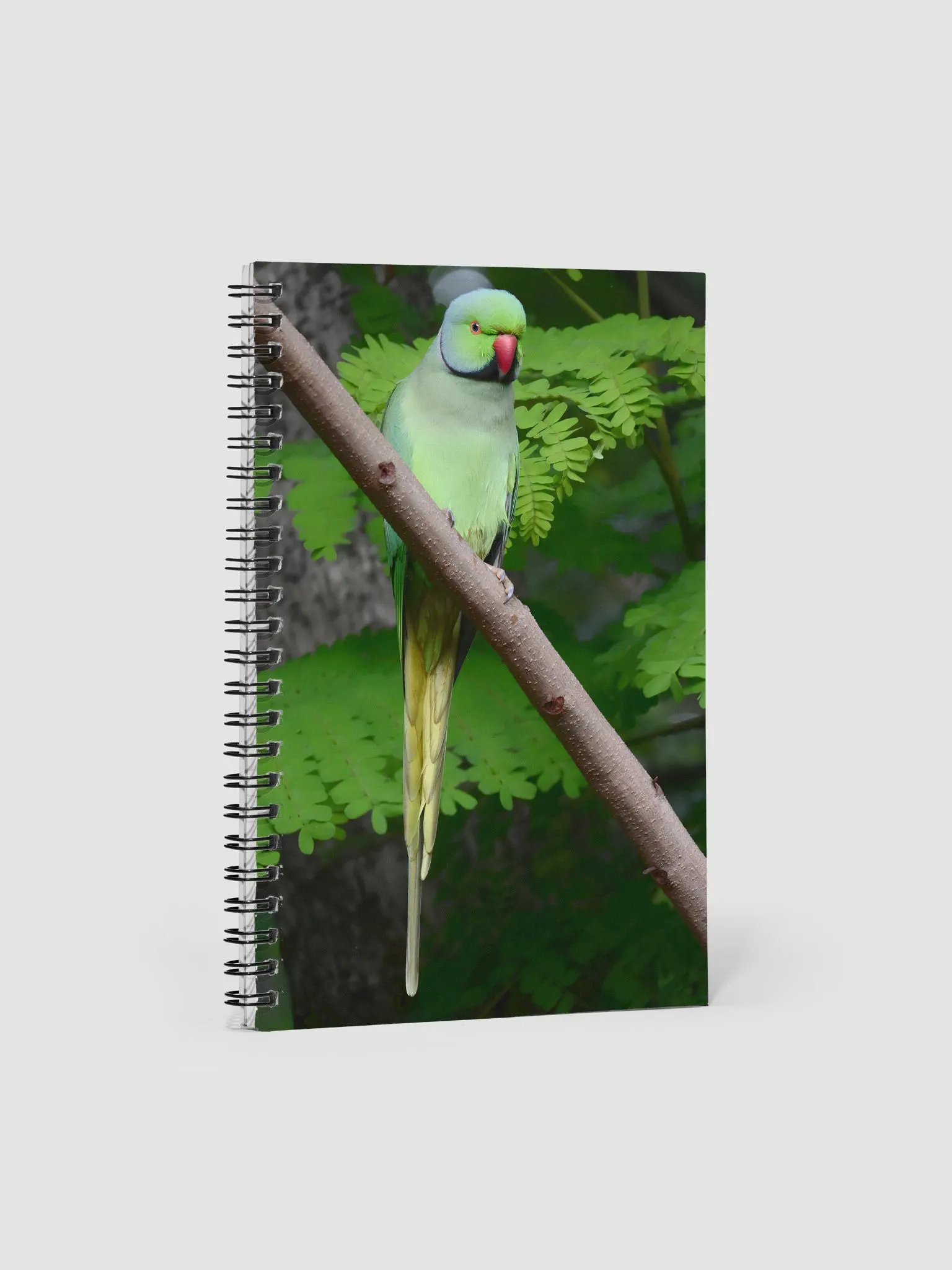 SPIRAL NOTEBOOK product image (1)