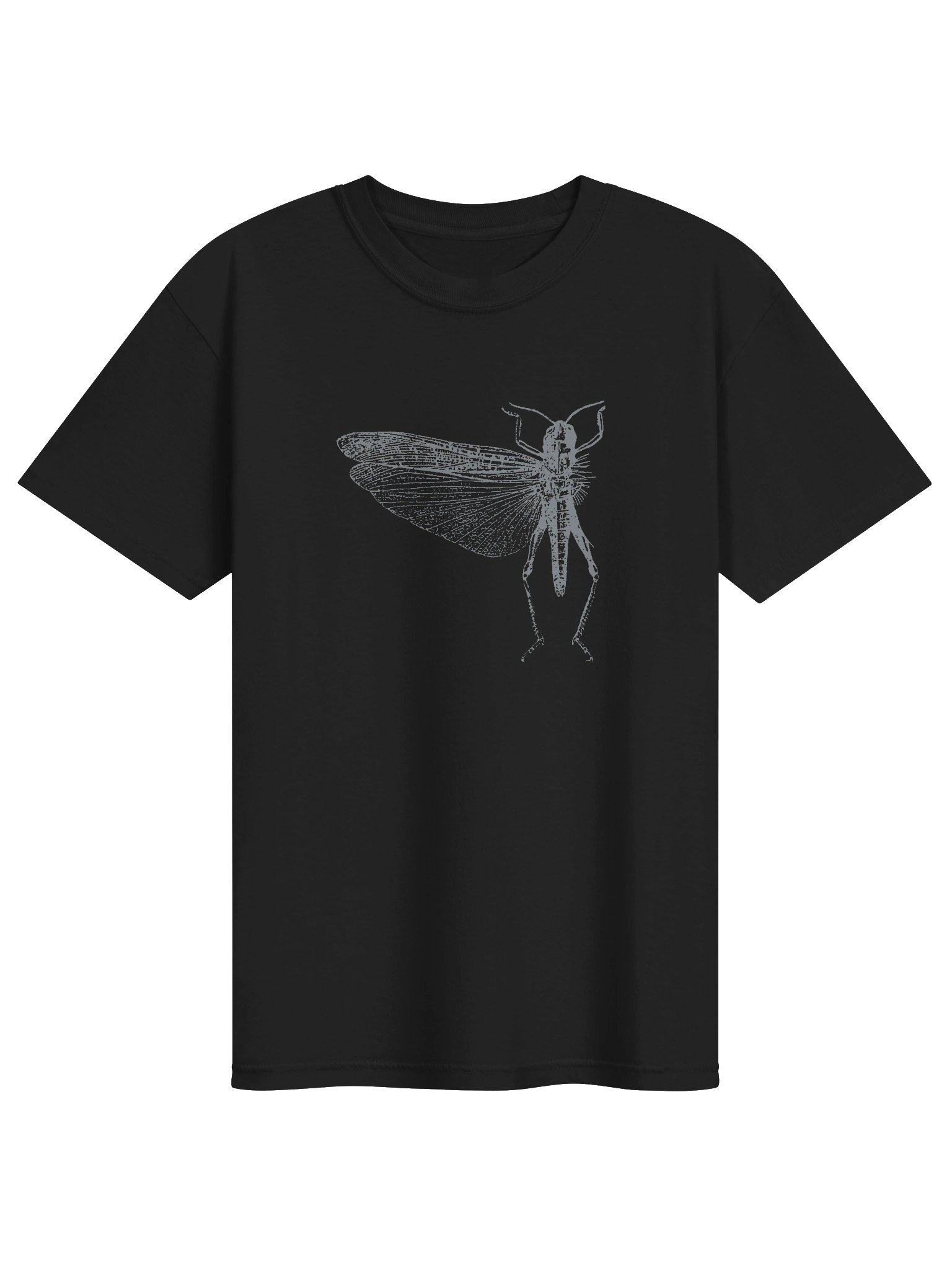 insect 97 product image (1)