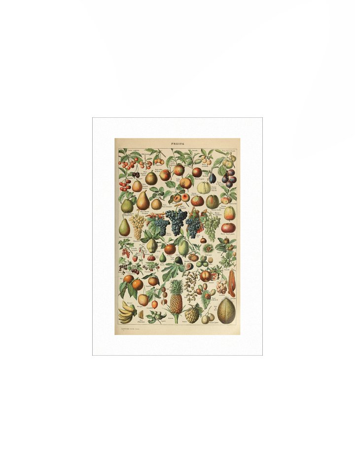 Vintage Fruits Poster product image (1)