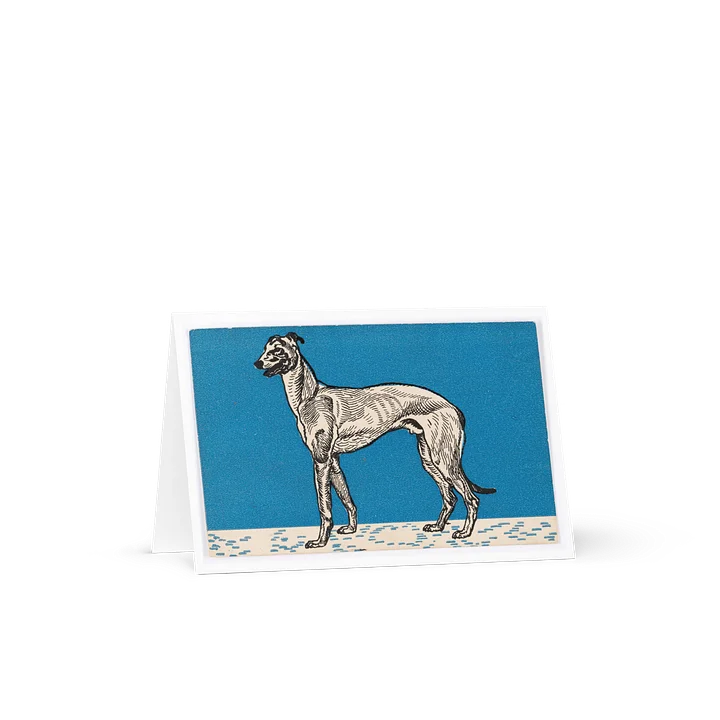 Greyhound II Greeting Card product image (1)