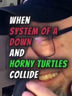 When SYSTEM OF A DOWN's 