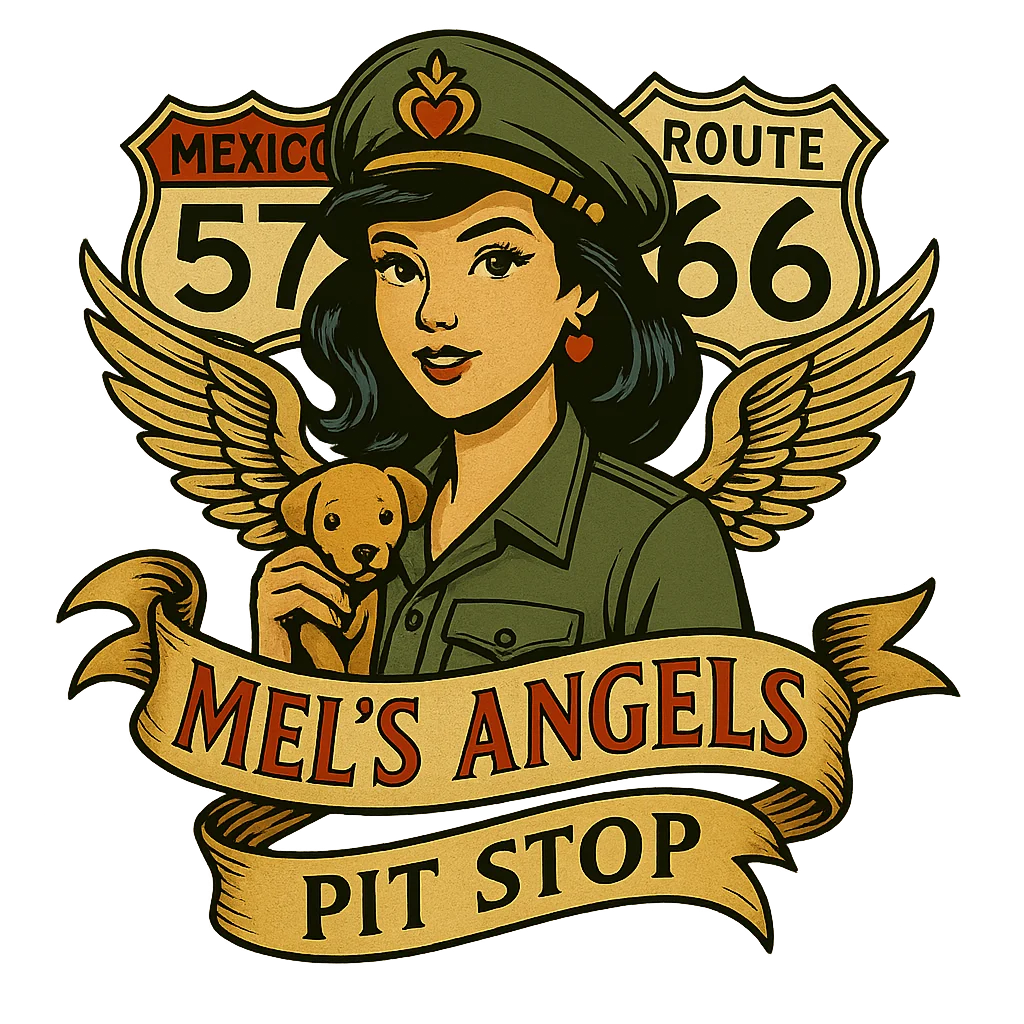 Mel’s Angels Pit Stop Organic Cotton Tote Bag – Eco-Friendly Large Capacity Grocery & Travel Bag product image (5)