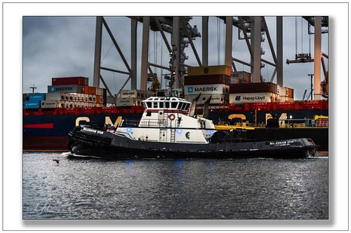 Tug Millennium Star  working the Port of Seattle — CMA CGM container ship, Maersk and Hapag-Lloyd containers stacked deep, ga...