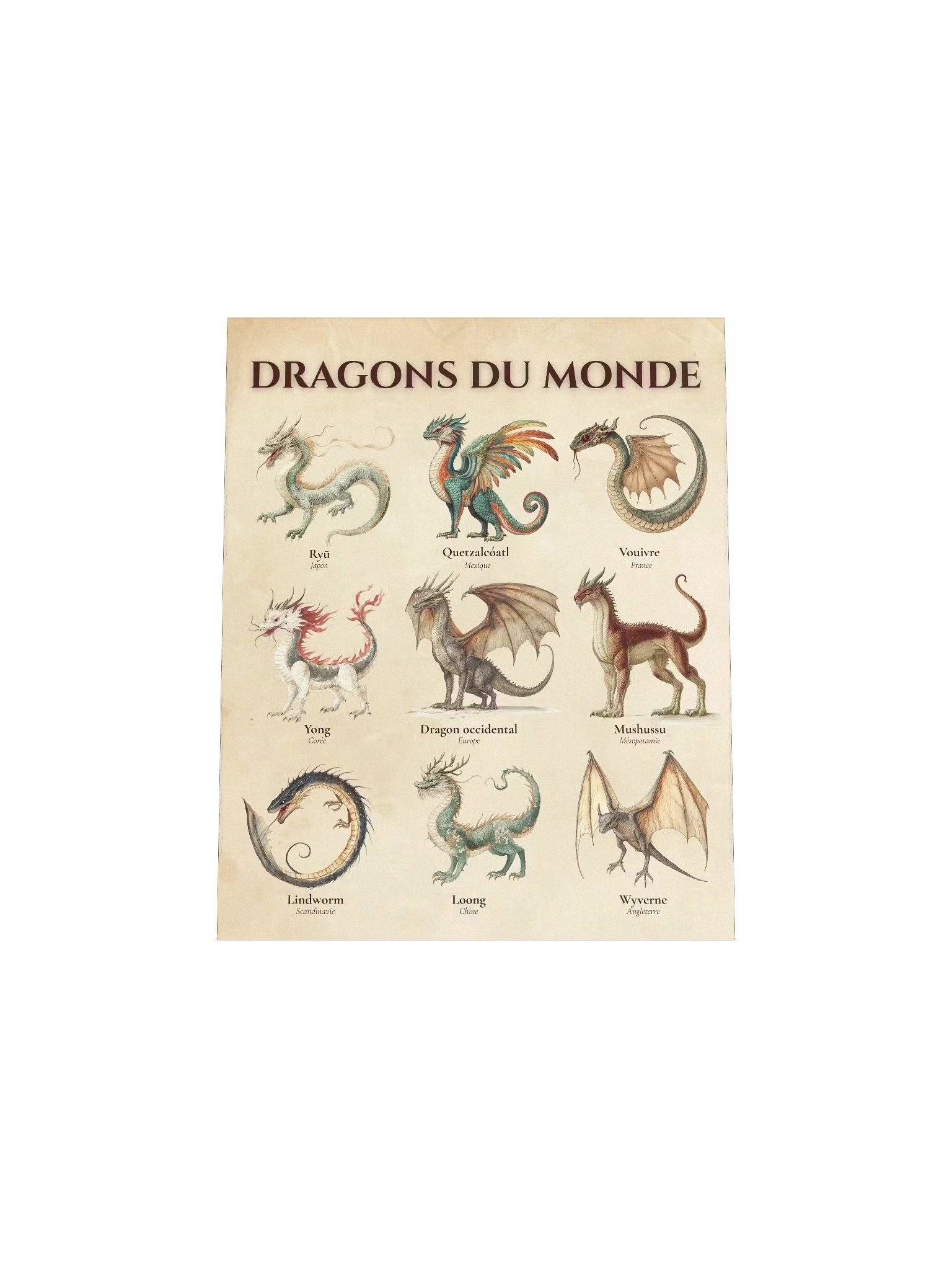 Poster Dragons du Monde product image (8)