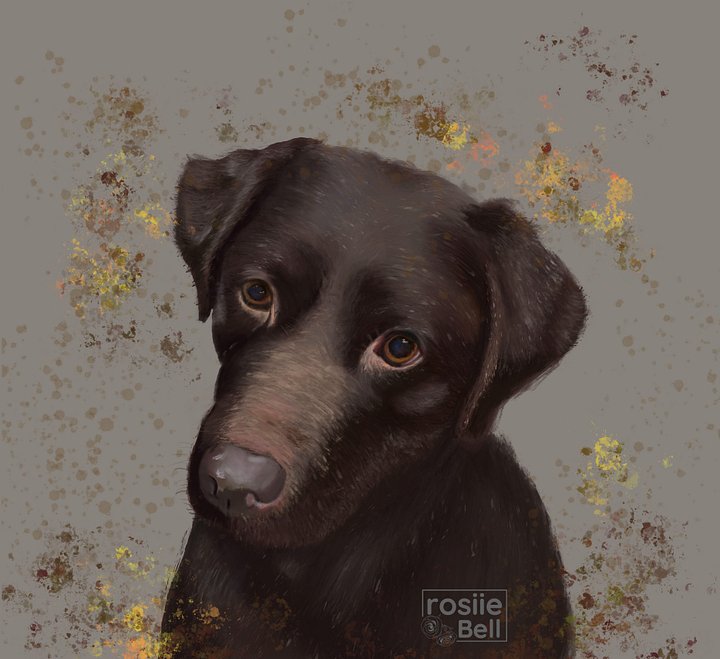 Chocolate Labrador product image (2)